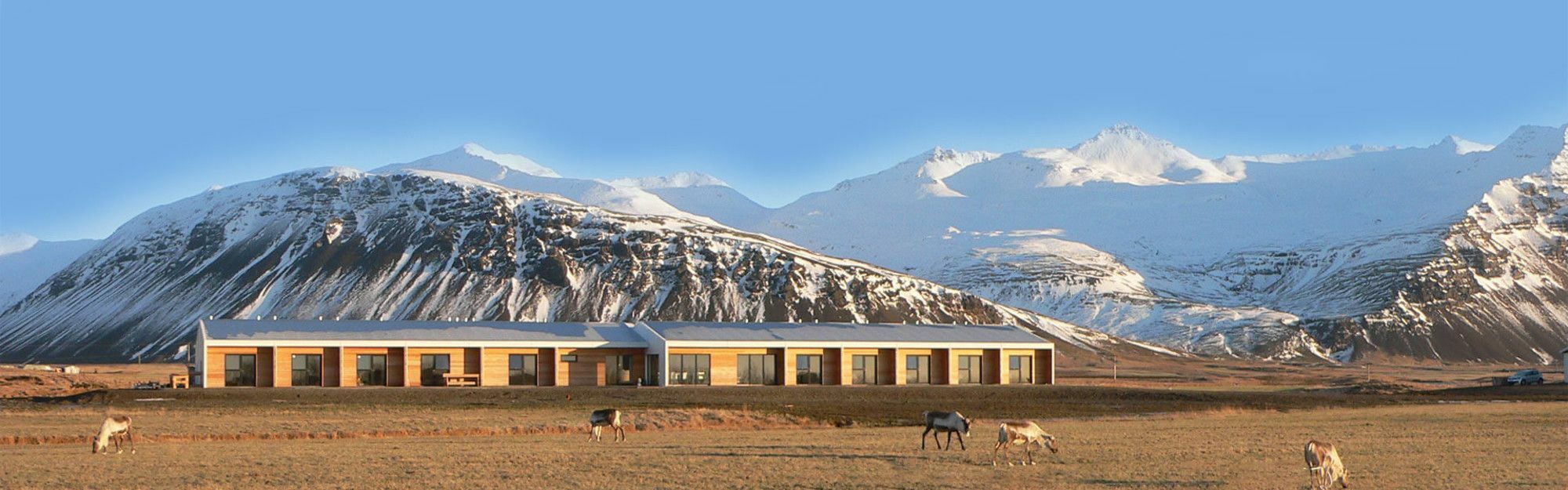 Seljavellir Guesthouse Höfn Dış mekan fotoğraf